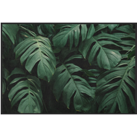 Fussmatte Monstera 10527