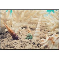 Fussmatte Muscheln 4592