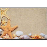 Fussmatte Muscheln 6370