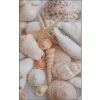 Fussmatte Muscheln 7305