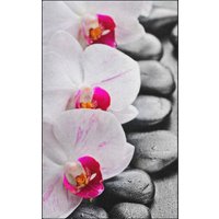 Fussmatte Orchidee 7120