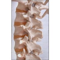 Fussmatte Orthopäde 7308