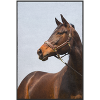 Fussmatte Pferd 10999