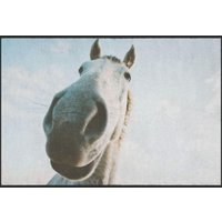 Fussmatte Pferd 4805