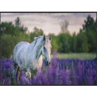 Fussmatte Pferd 4981