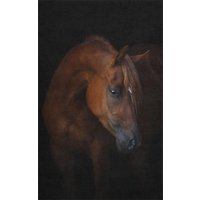 Fussmatte Pferd 7288