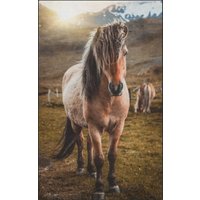 Fussmatte Pferd 7642