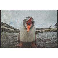 Fussmatte Pinguin 10169