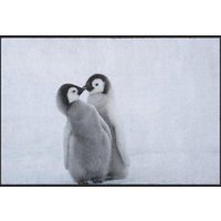 Fussmatte Pinguin 4812