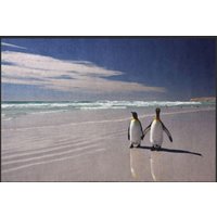 Fussmatte Pinguin 6053