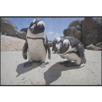 Fussmatte Pinguin 6071