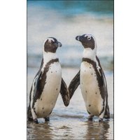 Fussmatte Pinguin 7773