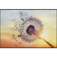 Fussmatte Pusteblume 4616