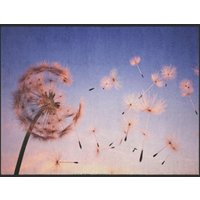 Fussmatte Pusteblume 4993