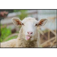 Fussmatte Schaf 4521