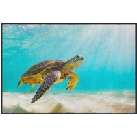 Fussmatte Schildkröte 10473