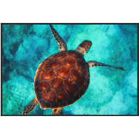 Fussmatte Schildkröte 10654