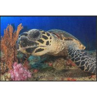 Fussmatte Schildkröte 6325