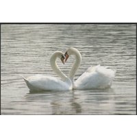Fussmatte Schwan 4193