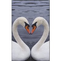 Fussmatte Schwan 7739