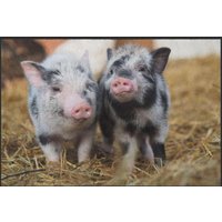 Fussmatte Schwein 5083