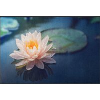 Fussmatte Seerose 4593