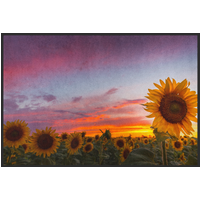 Fussmatte Sonnenblume 10908