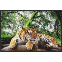 Fussmatte Tiger 10819
