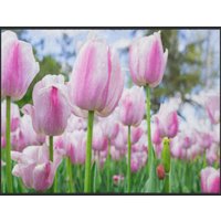 Fussmatte Tulpe 4985