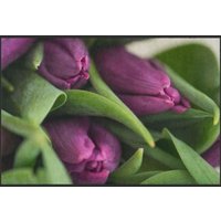 Fussmatte Tulpe 5076