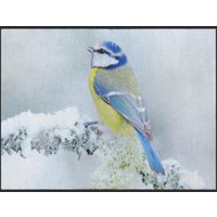 Fussmatte Vogel 5014
