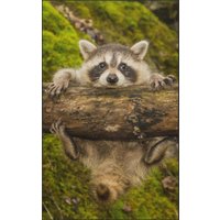 Fussmatte Waschbär 7079