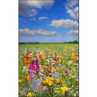 Fussmatte Wiese 7108