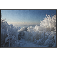 Fussmatte Winter 10791