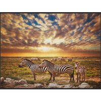 Fussmatte Zebra 4894