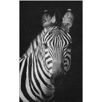 Fussmatte Zebra 7769