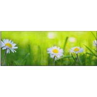 Küchenteppich 4408