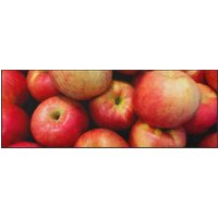 Küchenteppich Apfel 4368