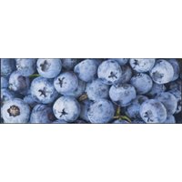 Küchenteppich Blaubeere 4343