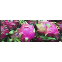 Küchenteppich Drachenfrucht 4384