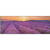Küchenteppich Lavendel 4366
