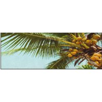 Küchenteppich Palme 4370