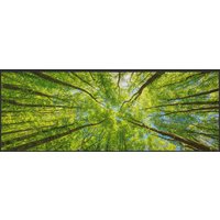 Läufer Wald 10185