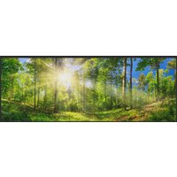 Läufer Wald 10284