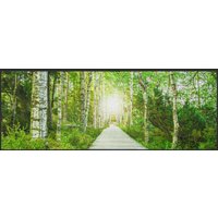 Läufer Waldweg 10270