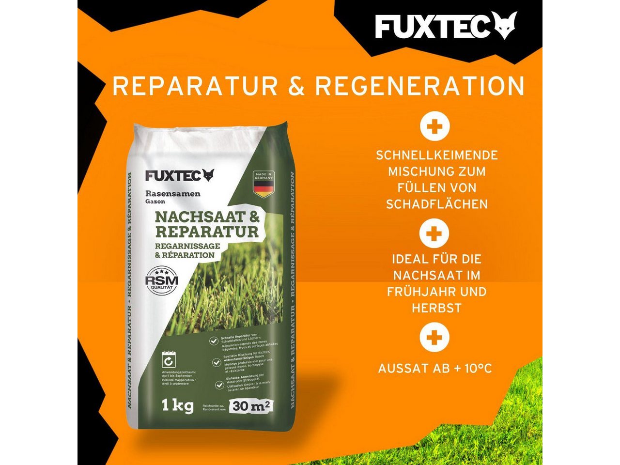FUXTEC Rasensamen FX-RSNR1, 1 kg, Rasensamen Nachsaat, für 30m², RSM geprüft – Bild 3 von 5