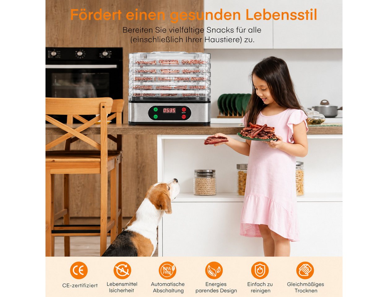 Fyrove Dörrautomat Dörrgerät Edelstahl mit Temperaturregler, 5 Etagen, 35-70°C BPA-frei 350 W, 5 Etagen, 72h-Timer, für Lebensmittel, Pilze, Früchte, Fleisch, G – Bild 5 von 5
