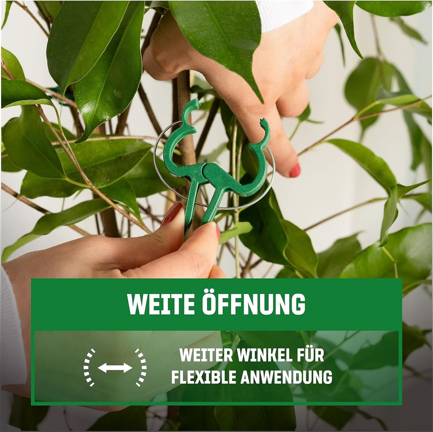 GardenGloss Gartenpflege-Set Pflanzenclips Klein - Einfache Rankhilfe für Tomaten, Rosen, Gurken – Bild 3 von 5