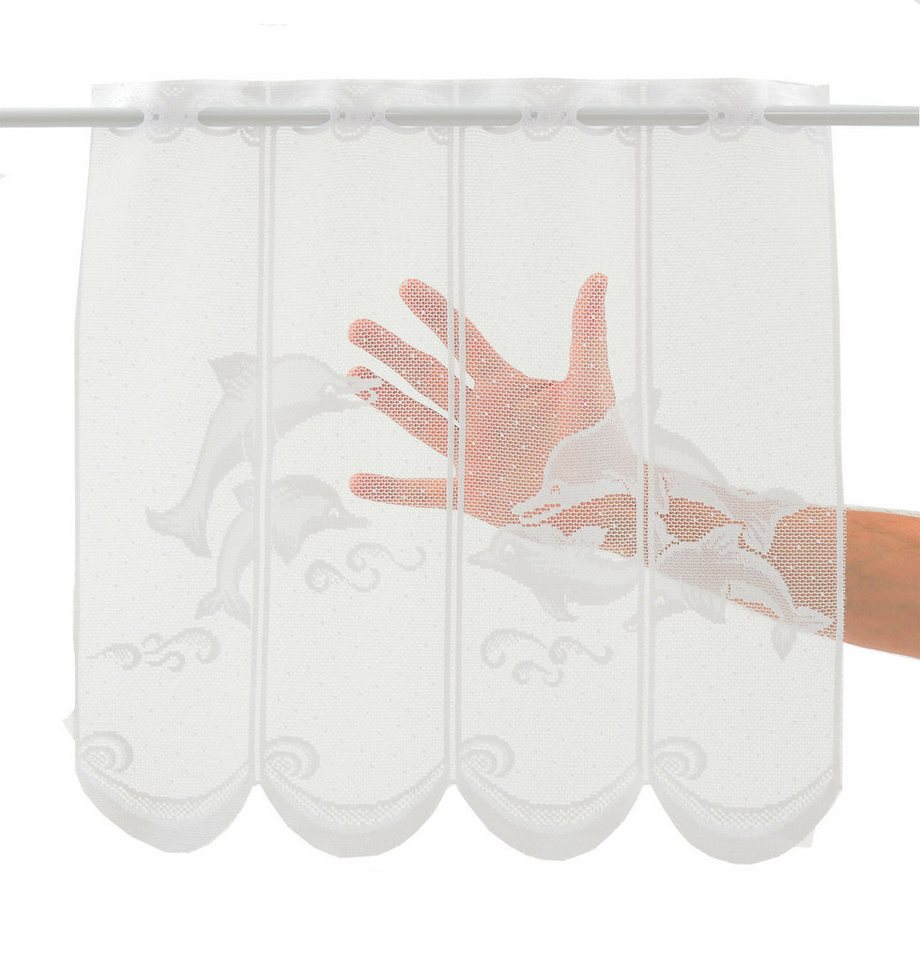 Gardinen Kranzusch Scheibengardine Delfin (1 St), Stangendurchzug, transparent, Stablöcher,transparent,verschiedene Höhen, Breiten, Farben – Bild 3 von 5