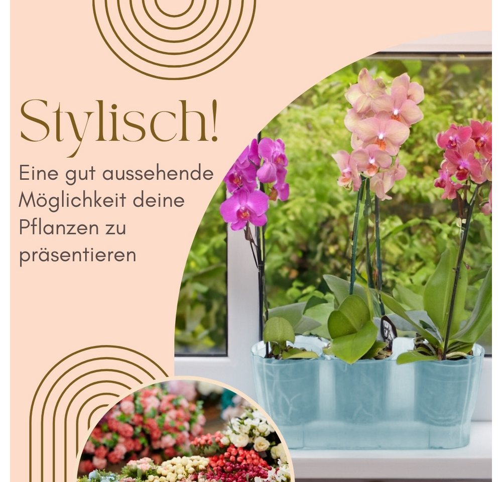 GarPet Blumentopf 2er Set Orchideentopf Transparent Orchideen Über Pflanz groß Elegant – Bild 3 von 5